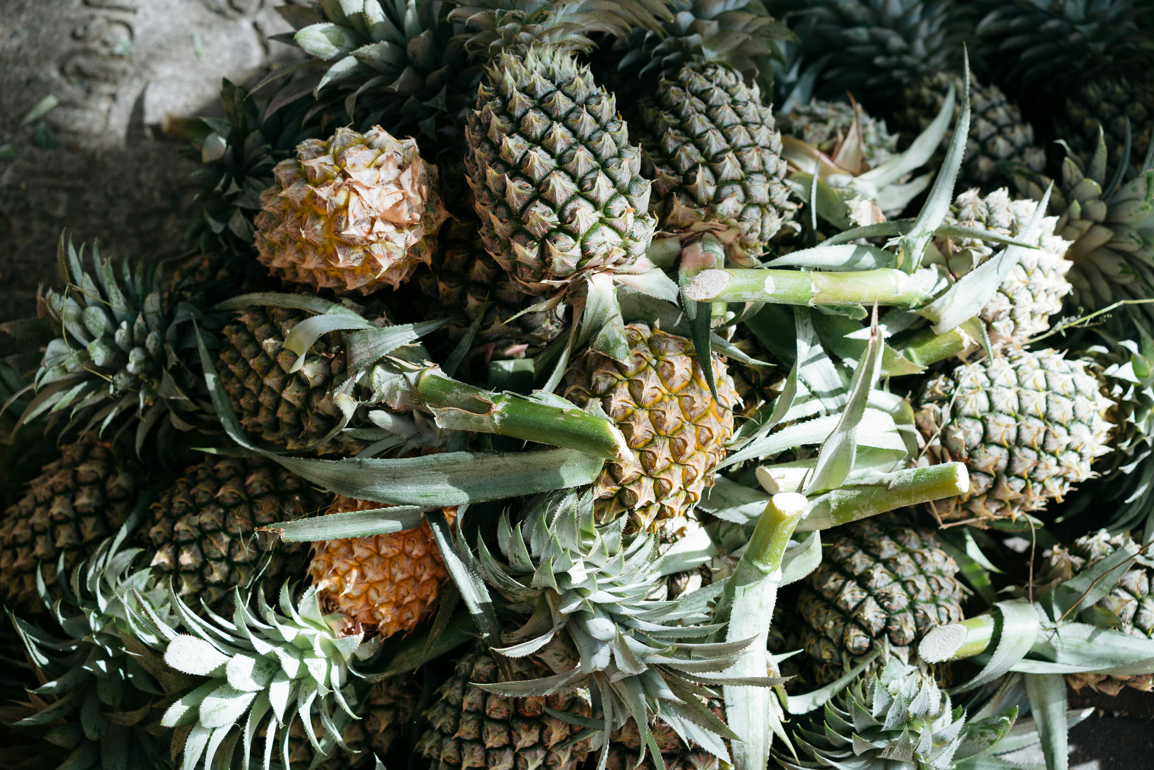 Fibre Blends